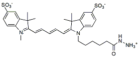 Molecular structure of the compound: sulfo-Cyanine5 hydrazide