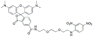 Molecular structure of the compound: TAMRA-2,4-dinitroaniline (TMR-DN)