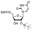Molecular structure of the compound: 5'-DMT-2'-tBDSilyl Uridine
