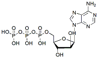 Molecular structure of the compound BP-43327