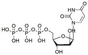 Molecular structure of the compound: Ara-uridine Triphosphate
