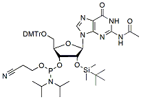 Molecular structure of the compound: 5'-DMT-2'-TBDMS-rG(N-Ac) Phosphoramidite
