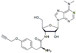 Molecular structure of the compound: O-propargyl-puromycine (OPP)