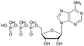 Molecular structure of the compound BP-58802
