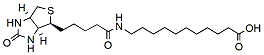 Molecular structure of the compound: Biotin-SLC