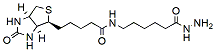 Molecular structure of the compound: Biotin-LC-Hydrazide 
