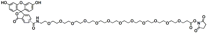 Molecular structure of the compound: Carboxyfluorescein-PEG12-NHS