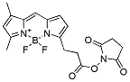 Molecular structure of the compound: BDP FL NHS ester