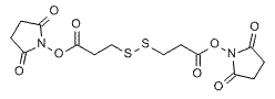 Molecular structure of the compound: DSP Crosslinker
