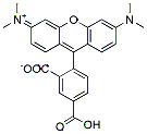Molecular structure of the compound: TAMRA Acid