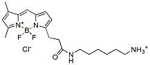 Molecular structure of the compound: BDP FL amine