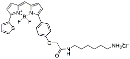 Molecular structure of the compound: BDP TR amine