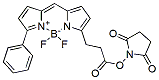 Molecular structure of the compound: BDP R6G NHS ester