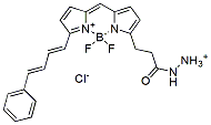 Molecular structure of the compound: BDP 581/591 hydrazide