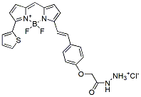 Molecular structure of the compound: BDP 630/650 hydrazide