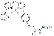 Molecular structure of the compound: BDP TR hydrazide