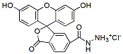 Molecular structure of the compound: FAM hydrazide, 6-isomer