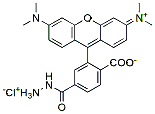 Molecular structure of the compound: TAMRA hydrazide, 6-isomer