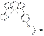 Molecular structure of the compound: BDP TR carboxylic acid