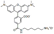 Molecular structure of the compound: TAMRA amine, 5-isomer