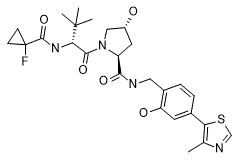 Molecular structure of the compound: E3 ligase Ligand 19