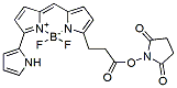 Molecular structure of the compound: BDP 576/589 NHS ester