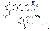 Molecular structure of the compound: BP Fluor 568 Cadaverine