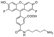 Molecular structure of the compound: Difluorocarboxyfluorescein Cadaverine, 5-isomer
