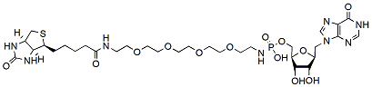 Molecular structure of the compound: Biotin-PEG4-phosphorylamino-inosine