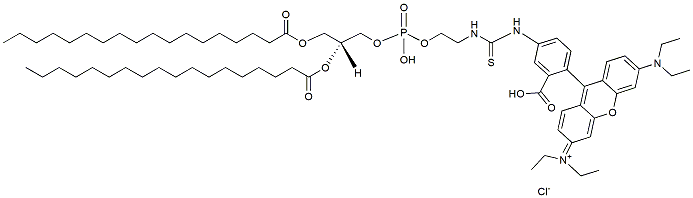 Molecular structure of the compound: DSPE-Rhodamine