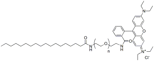 Molecular structure of the compound: Stearic acid-PEG-Rhodamine, MW 1,000