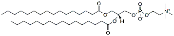 Molecular structure of the compound: 1,2-Dipalmitoyl-sn-glycero-3-Phosphatidylcholine