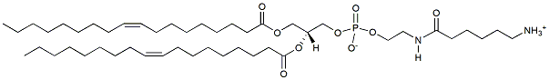 Molecular structure of the compound: 18:1 Caproylamine PE