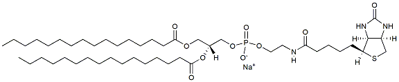 Molecular structure of the compound: 16:0 Biotinyl PE