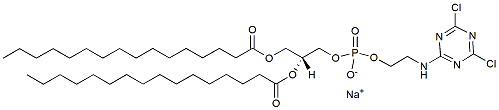 Molecular structure of the compound: 16:0 Cyanur PE