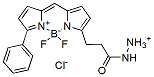 Molecular structure of the compound: BDP R6G hydrazide