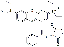 Molecular structure of the compound: Rhodamine B NHS ester