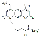 Molecular structure of the compound: BP Fluor 430 hydrazide