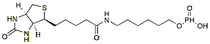 Molecular structure of the compound: 6-N-Biotinylaminohexyl Hydrogenphosphonate
