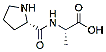 Molecular structure of the compound: H-Pro-ala-OH