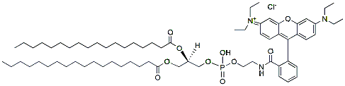 Molecular structure of the compound: DSPE-Rhodamine B