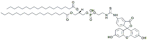 Molecular structure of the compound: DSPE-Fluorescein