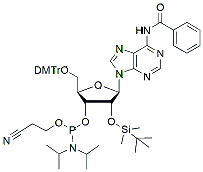 Molecular structure of the compound: Bz-rA Phosphoramidite