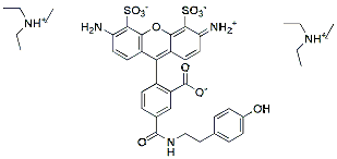 Molecular structure of the compound: AF 488 tyramide