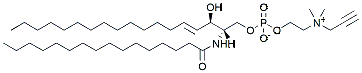 Molecular structure of the compound: 16:0 propargyl SM (d18:1-16:0)