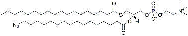 Molecular structure of the compound: 18:0-16:0(16-azido) PC