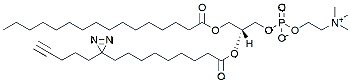 Molecular structure of the compound: 16:0-pacFA PC