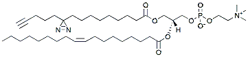 Molecular structure of the compound: pacFA-18:1 PC