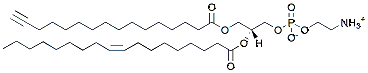 Molecular structure of the compound: 16:0(alkyne)-18:1 PE