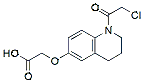 Molecular structure of the compound: KB02-COOH